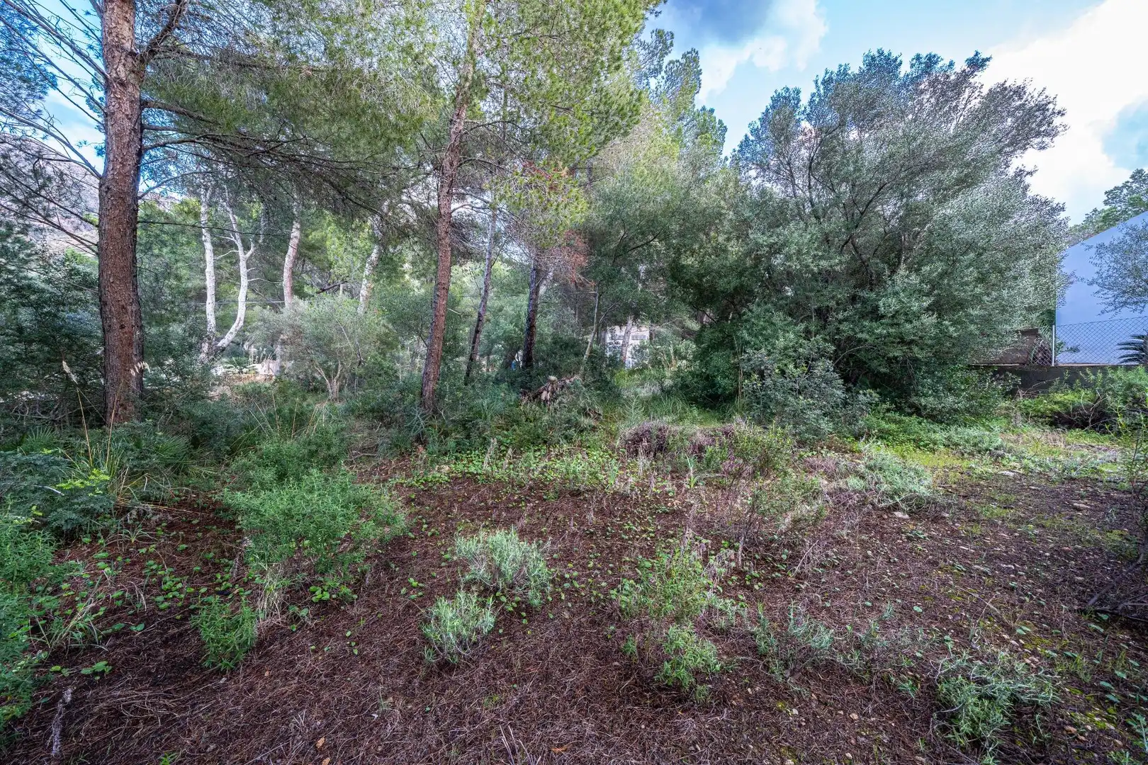 Terreny rústic en venda a Colònia de Sant Pere, imagen 13