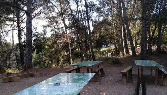 Lands and plots for sale in El Racó - Sant Feliu del Racó, imagen 8