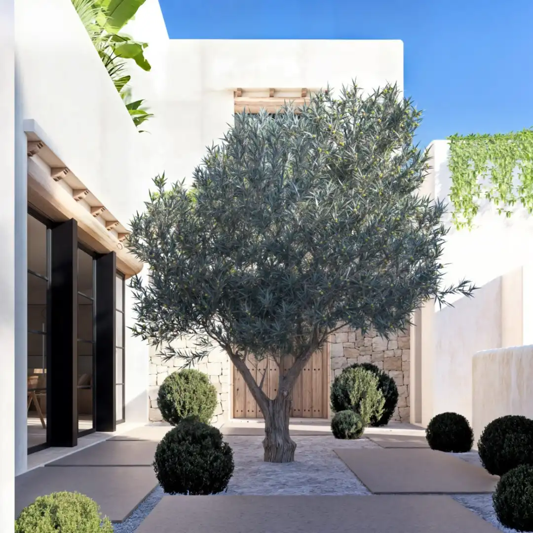 Villa con piscina in vendita a La Pedrera - Vessanes, imagen 5