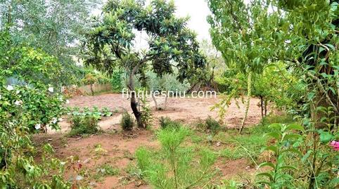 Foto 4 de Casa o chalet en venta en Avinguda de Argimont, 83, Riudarenes, Girona