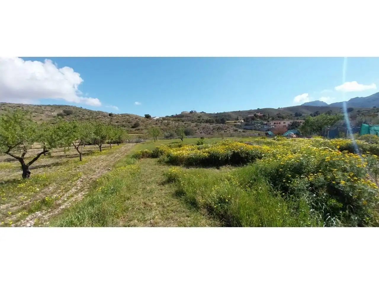 Casa o xalet en venda en Cartagena amb Aire condicionat, Jardí privat i Terrassa