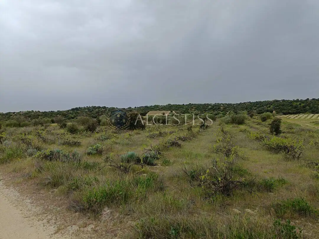 Terreno en venta en Aldea del Fresno