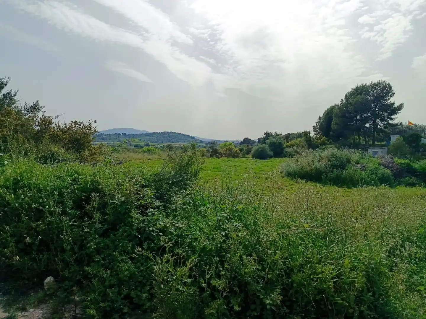 Wohnbaugrundstück zum Verkauf in Turís, imagen 5