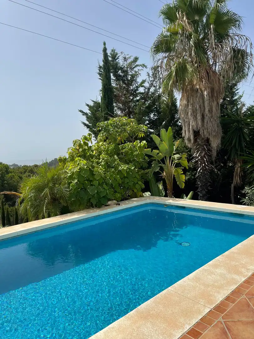 House with terrace for sale in Calle Berlín, imagen 12