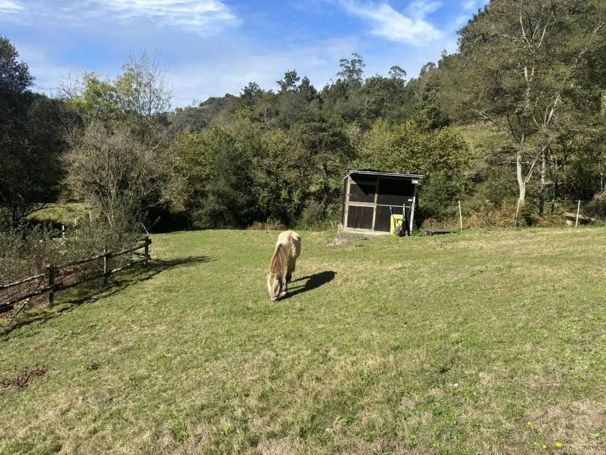 Vista exterior de Casa o chalet en venta en Cabrales, Asturias