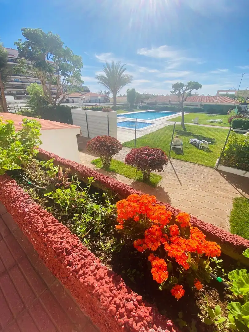 Piscina de Apartamento en venta en Arona con Terraza, Amueblado y Piscina comunitaria