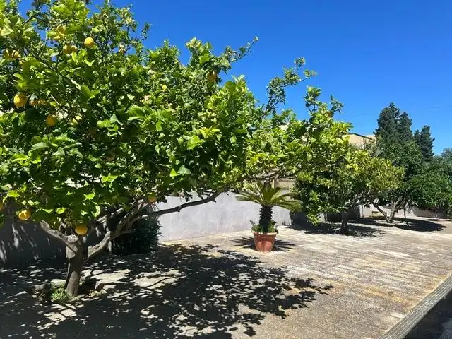 Exterior view of Houses for sale in Llucmajor  with Air Conditioner, Heating and Private garden
