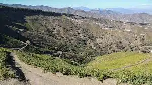 Terreno en venta en El Borge