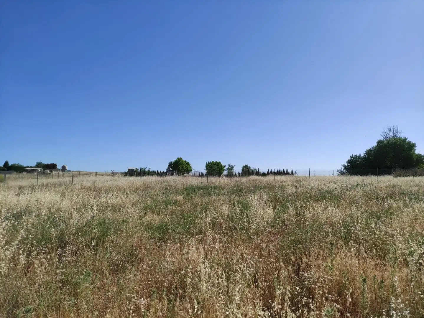 Terreni e lotti in vendita a Área Rural-Valverde-Las Casas, imagen 4