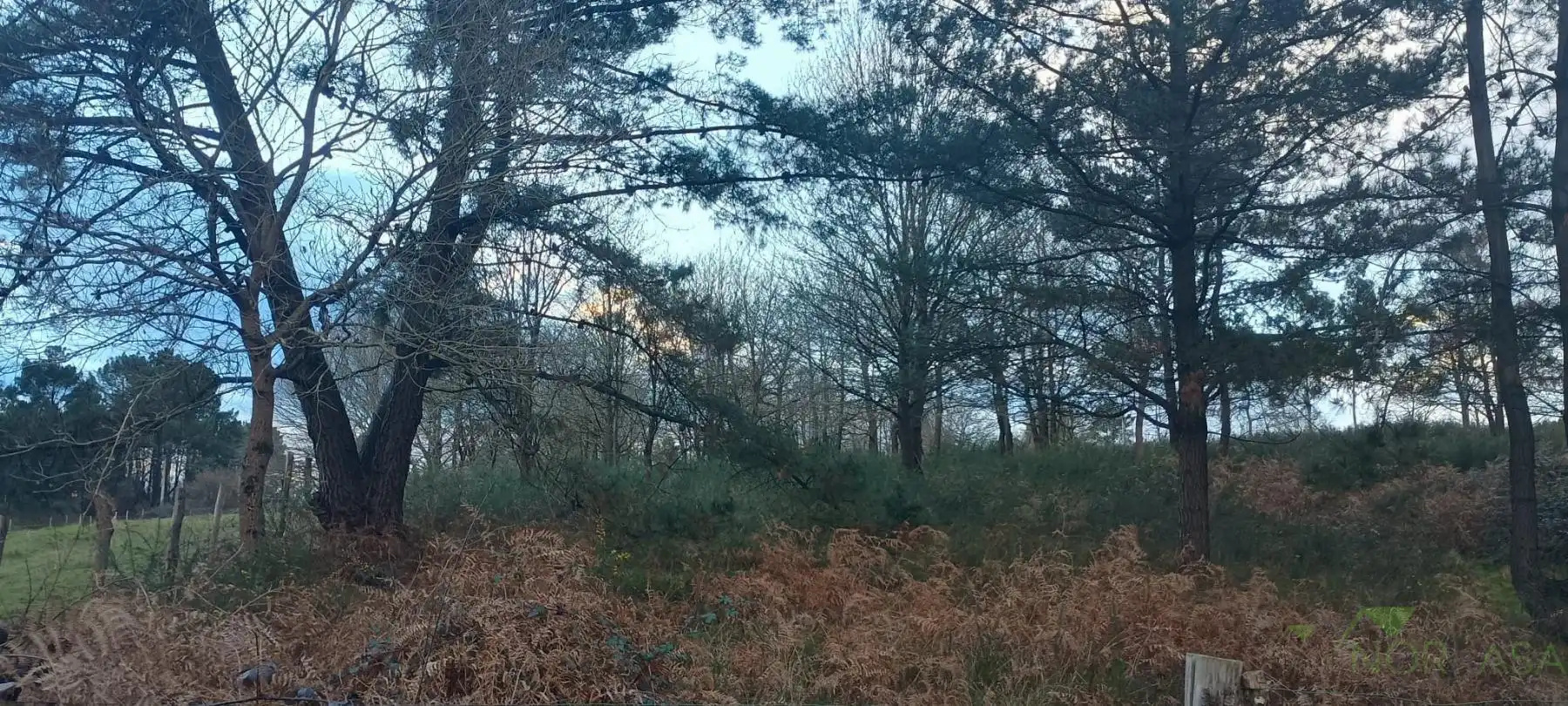 Terrenys i solars en venda a Posada de Llanera, imagen 7