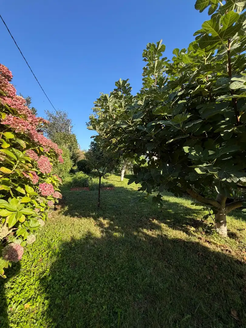 Xalet amb jardí en venda a Barrio del Villar, imagen 35