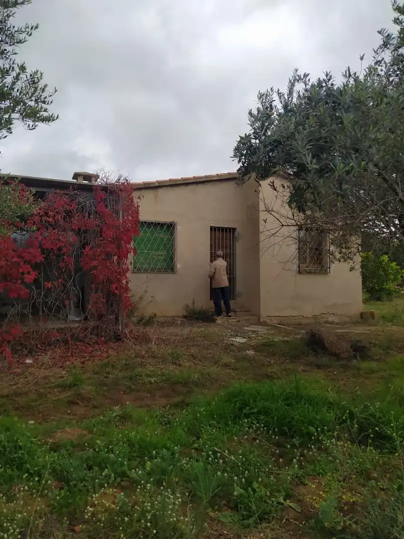 Terreno rustico in vendita a Riudecanyes