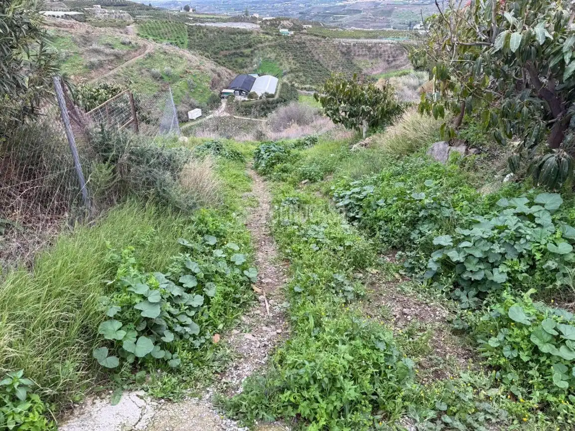 Terreny rústic en venda a Vélez-Málaga ciudad, imagen 24