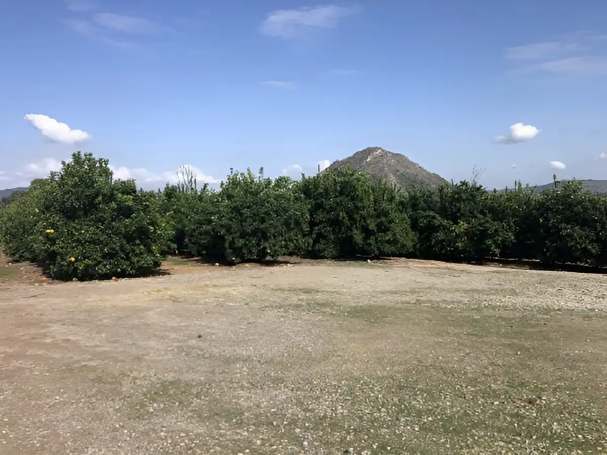 Rustikales Grundstück zum Verkauf in PARAJE EMBASTIDA O BASTIDA, imagen 5
