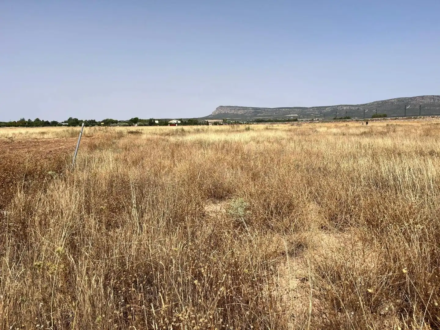 Grundstücke und Bauplätze zum Verkauf in Almansa, imagen 7