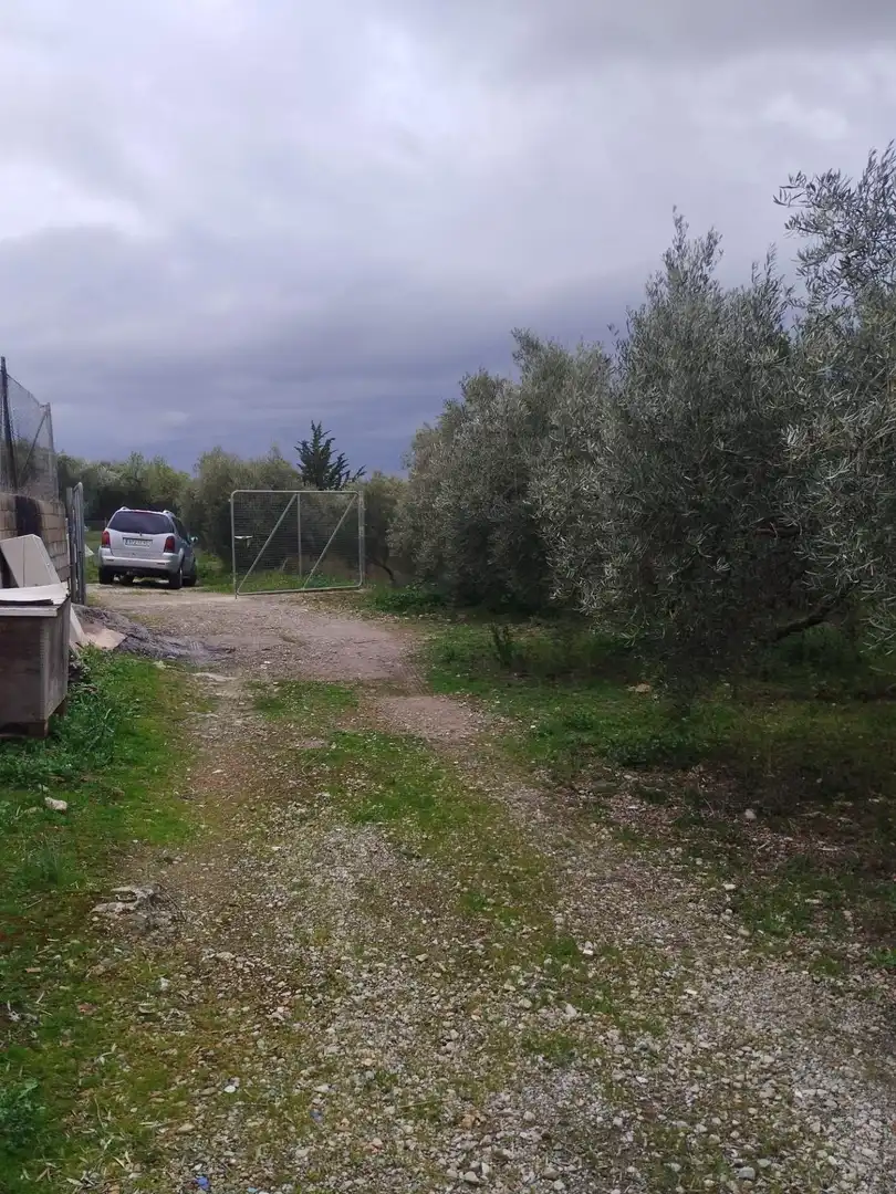 Terreni e lotti in vendita a Camino del cerro poligono 3 parcela, imagen 20
