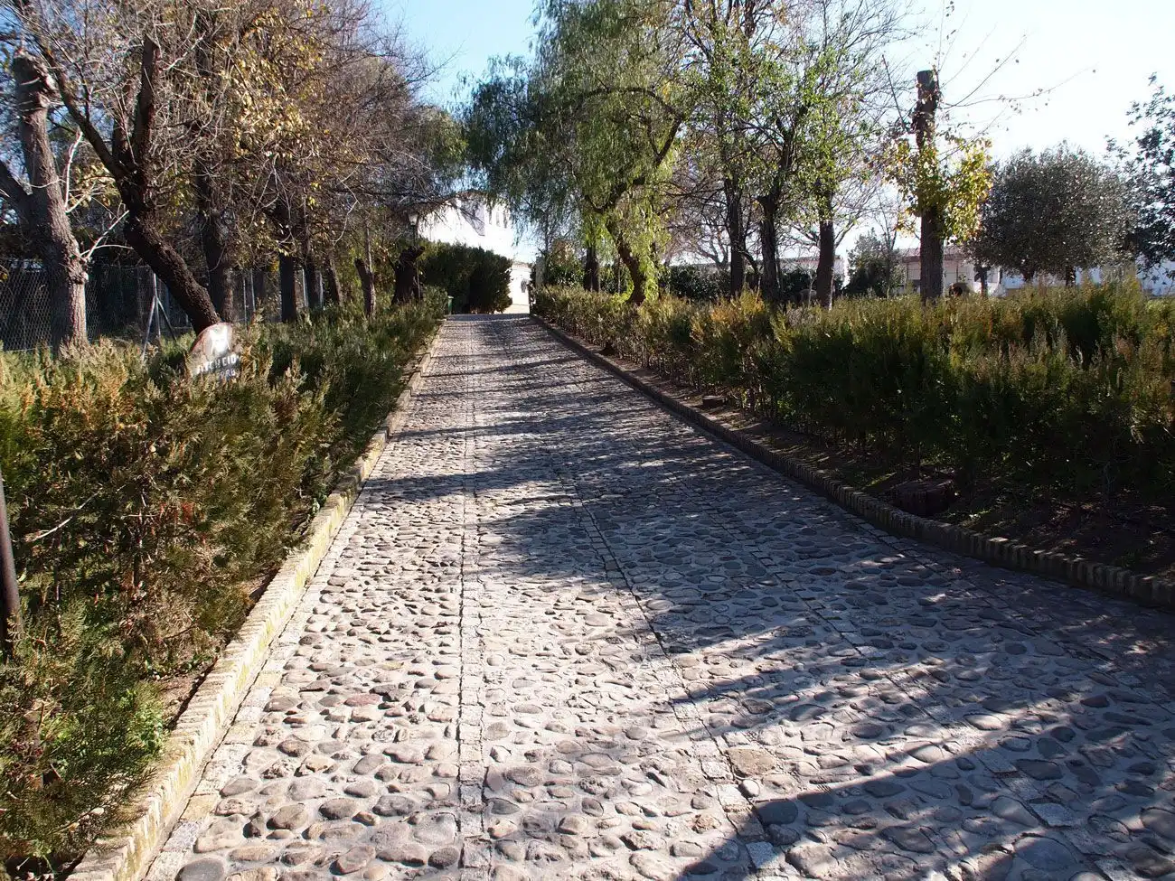 Exterior view of Country homes for sale in Marchena  with Terrace and Swimming Pool