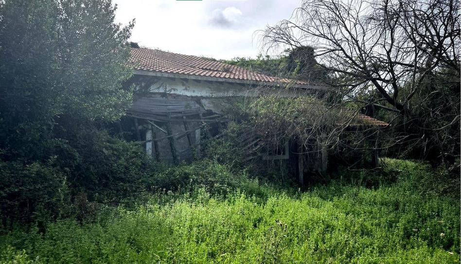 Foto 1 de Finca rústica en venda a Barrio Gajano-piñiro, Marina de Cudeyo, Cantabria