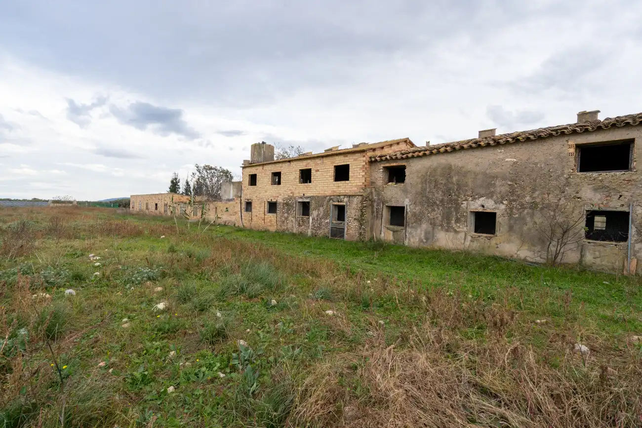 Rural land for sale in Ulldecona, imagen 2