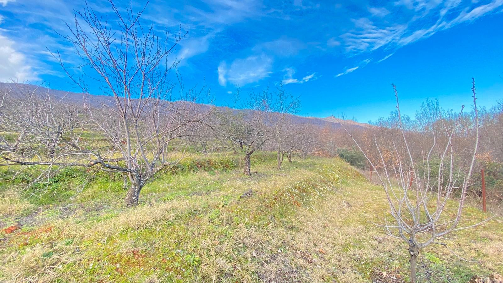 Land for sale in Rebollar (Cáceres)