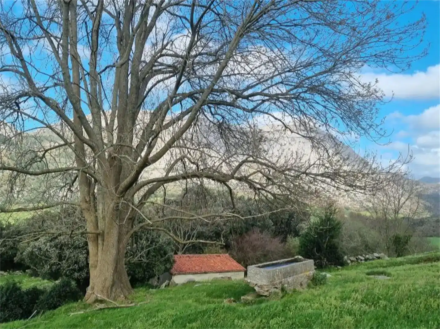 Vista exterior de Finca rústica en venda en Ruesga