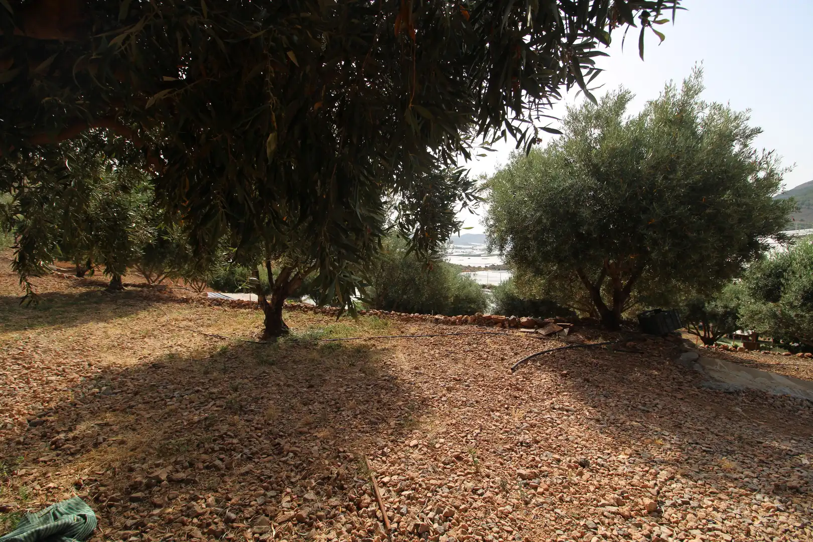 Finca rústica en venda en Dalías