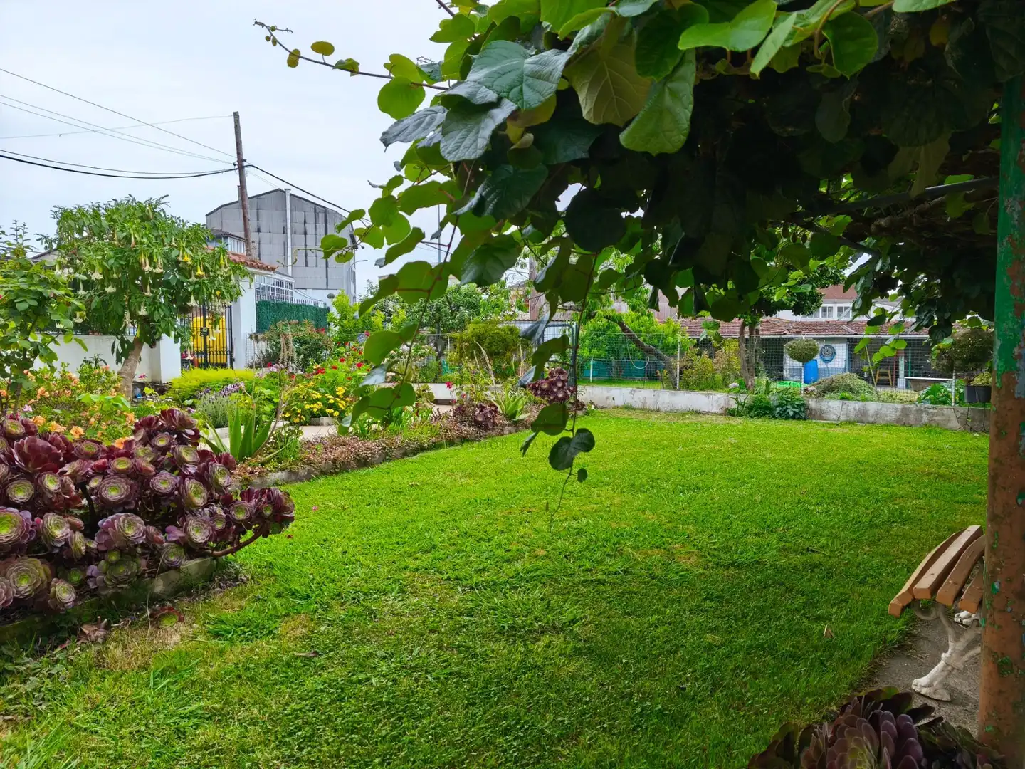 Jardí de Casa o xalet en venda en Neda amb Calefacció, Jardí privat i Traster