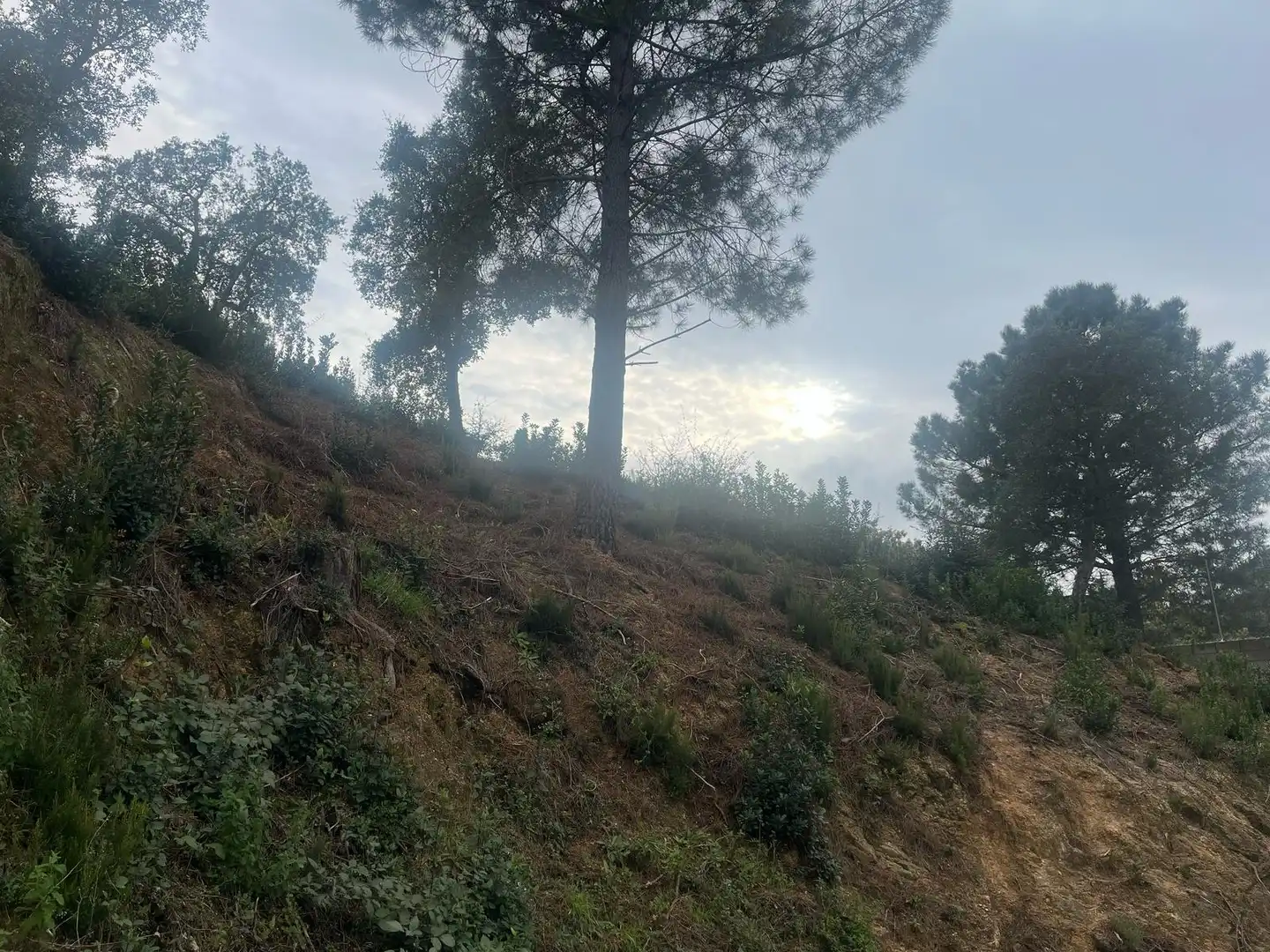 Residential land for sale in Lloret Residencial - Montlloret, imagen 2