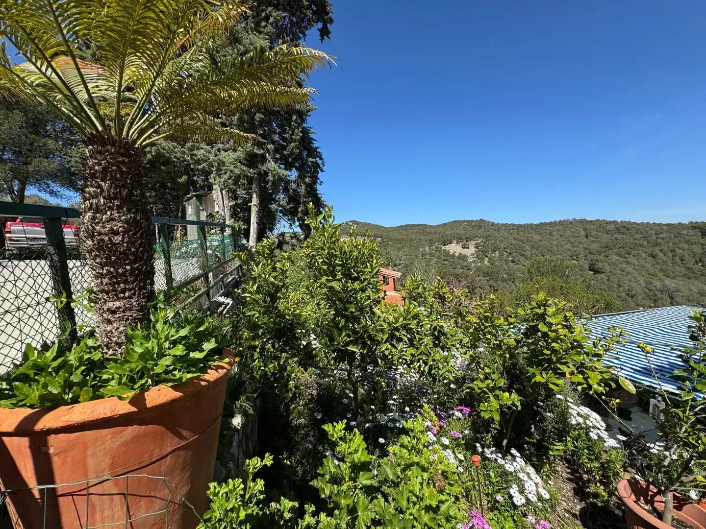 Terraza de Casa o chalet en venta en Ardales con Jardín privado y Terraza