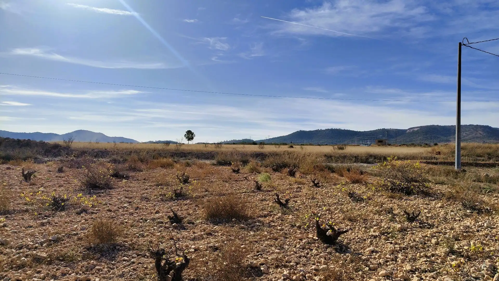 Lands and plots for sale in Abanilla, imagen 23