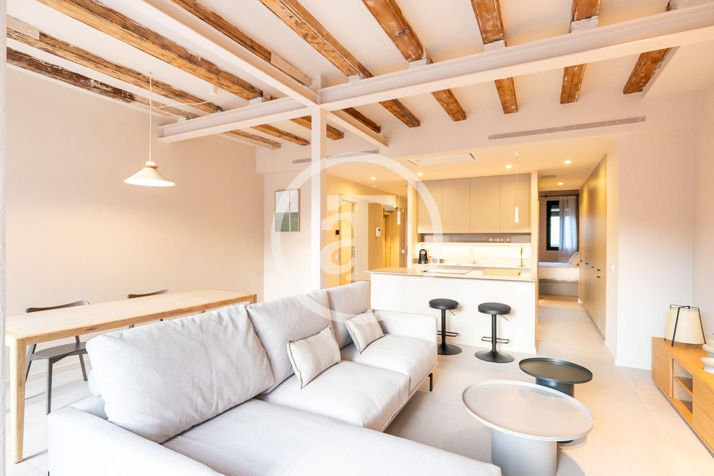 Sala d'estar de Pis de lloguer en  Barcelona Capital amb Aire condicionat, Calefacció i Moblat