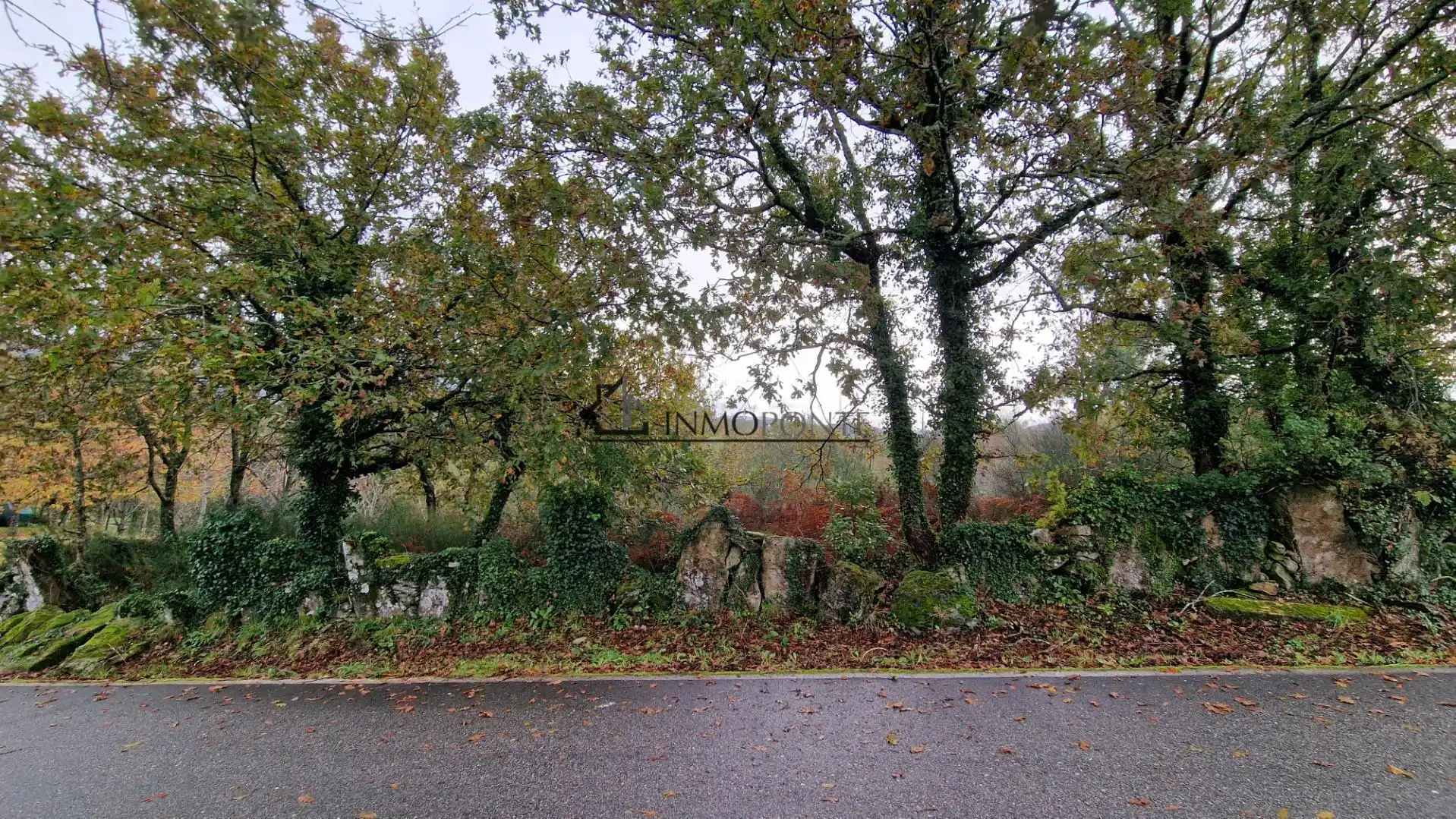 Lands and plots for sale in Soutomaior