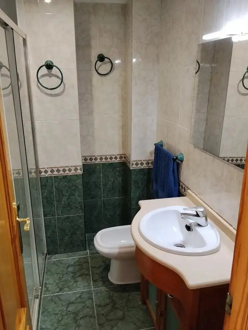 Bany de Pis en venda en Algemesí amb Aire condicionat, Terrassa i Moblat