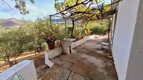 CORTIJO CON OLIVOS EN ALCAUCIN, imagen 4