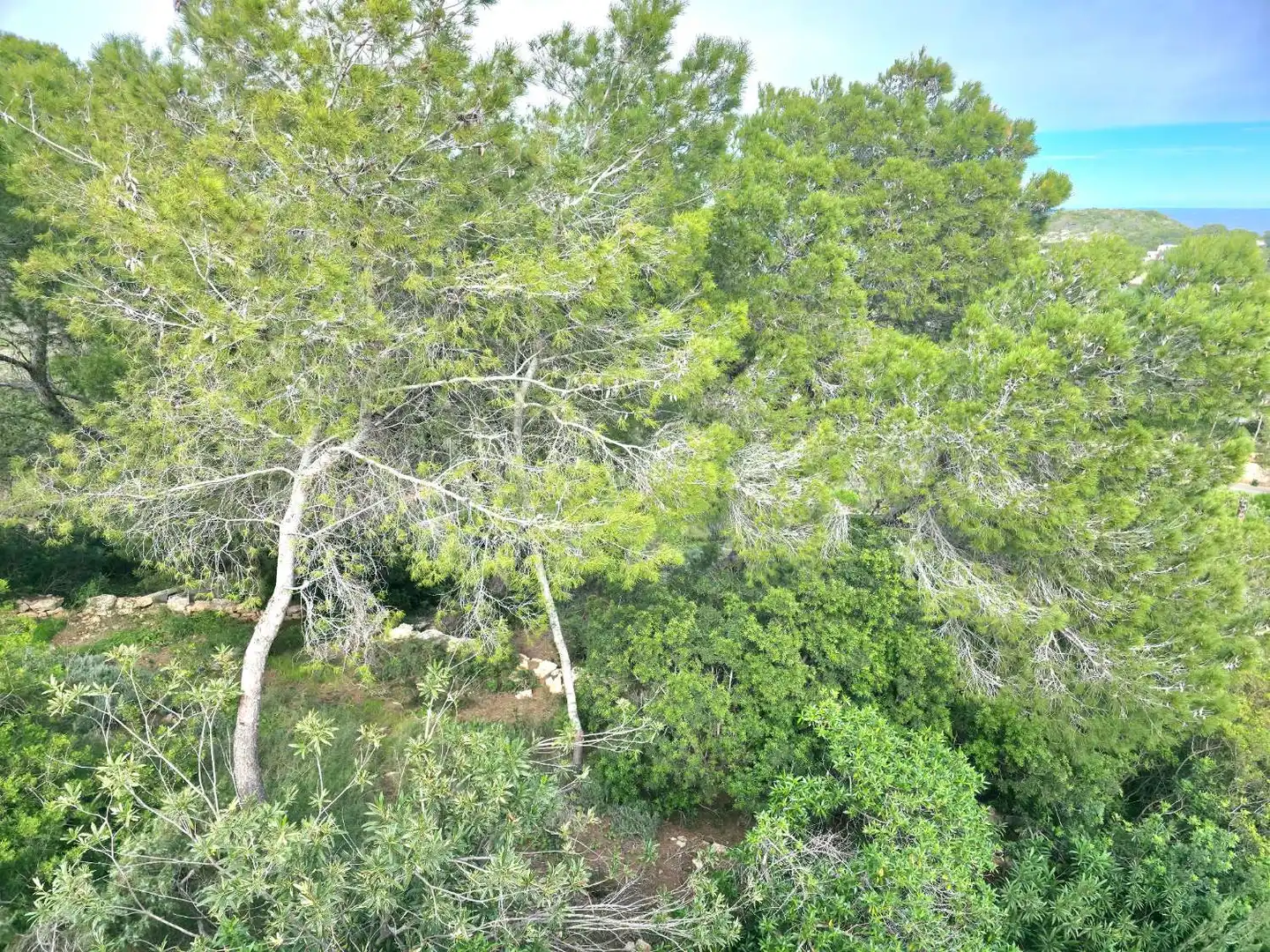 Residencial en venta en Sant Joan de Labritja