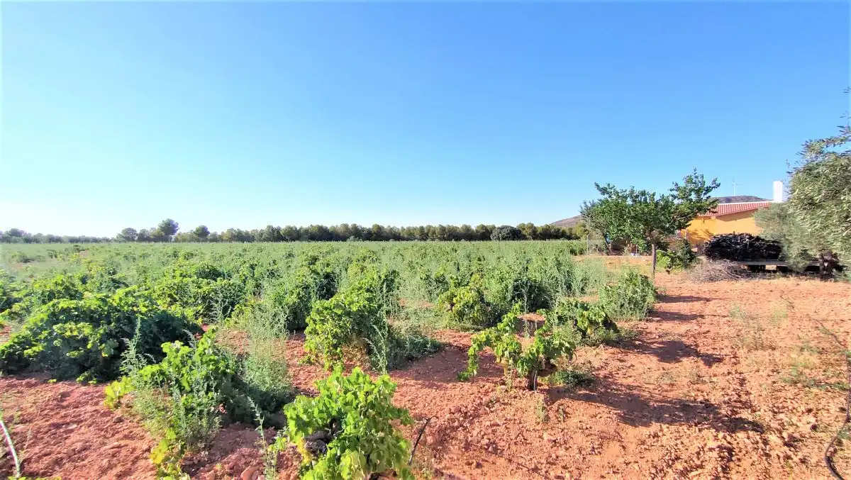 Casa rústica en venda a San Carlos del Valle (Carril de las Chozas) km 3, imagen 27