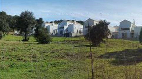 Photo 4 of Residential for sale in Polígono 1 Paraje 4 Calvario, 85, San Nicolás del Puerto, Sevilla