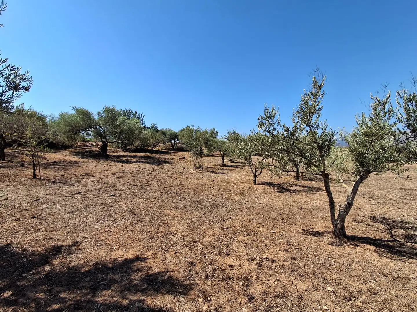 Houses for sale in Xerta