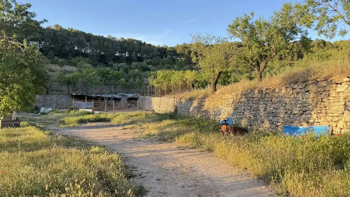Xalet amb jardí en venda a La Fatarella
