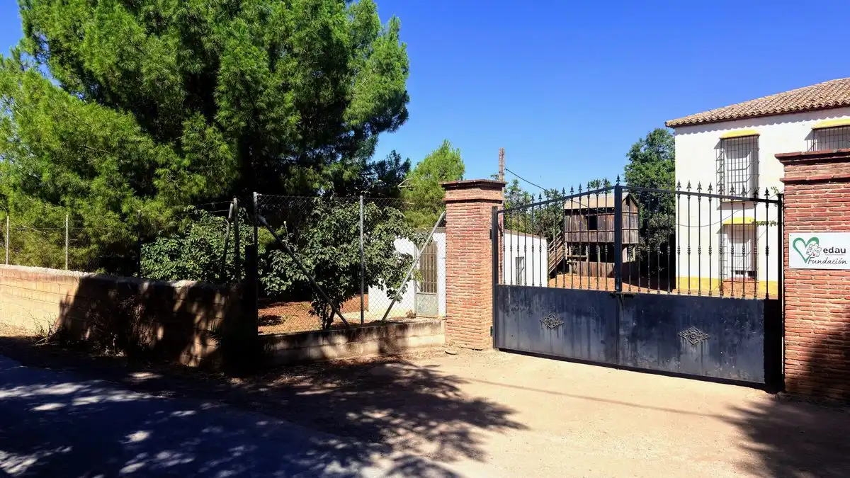Casa rústica amb piscina en venda a Diseminado Poligono 87, imagen 28