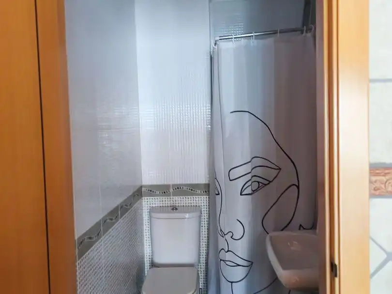 Bathroom of Commercial properties for sale in Algemesí  with Furnished