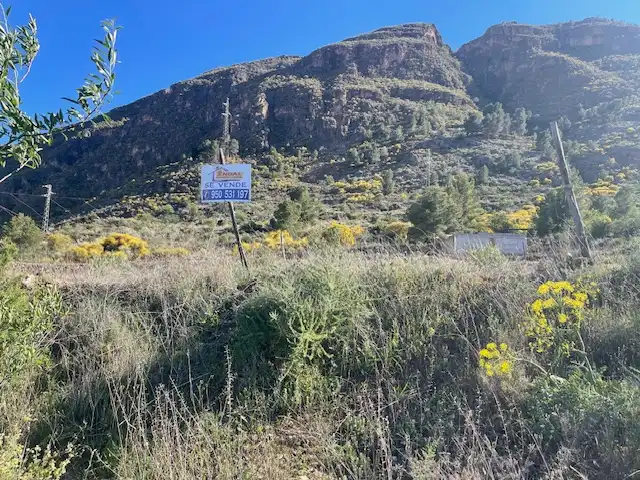 Terreno rústico en venta en Paraje los Molinicos 1