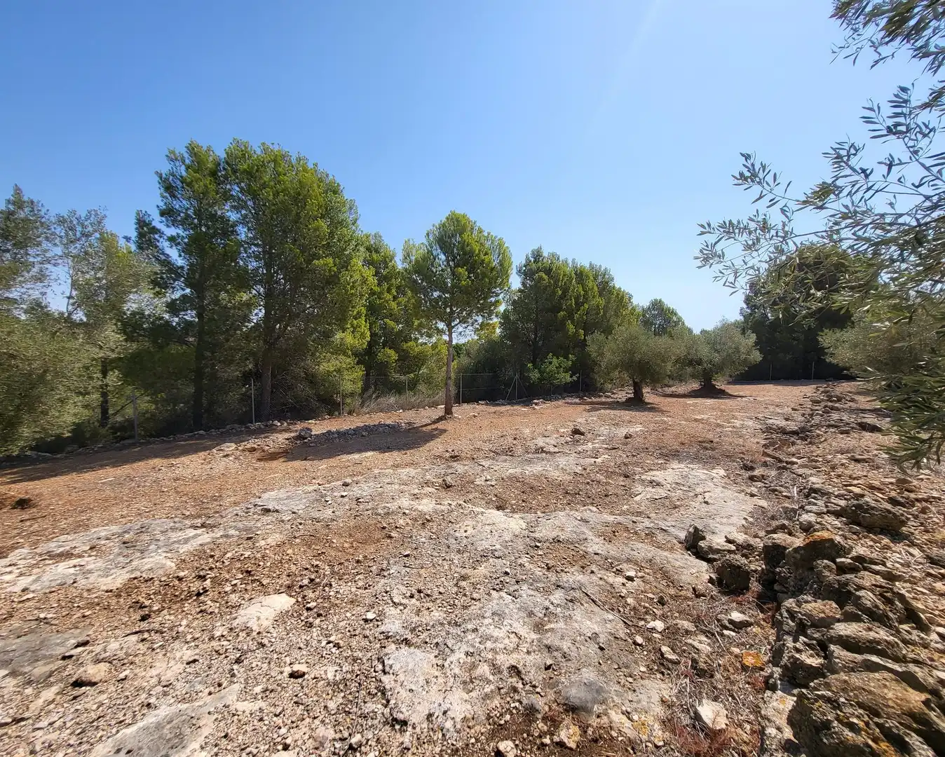 Landhaus mit Garten zum Verkauf in L'Ametlla de Mar pueblo, imagen 59