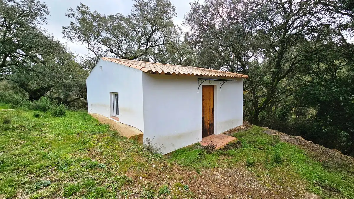 Vista exterior de Finca rústica en venta en Santa Ana la Real con Calefacción, Jardín privado y Terraza