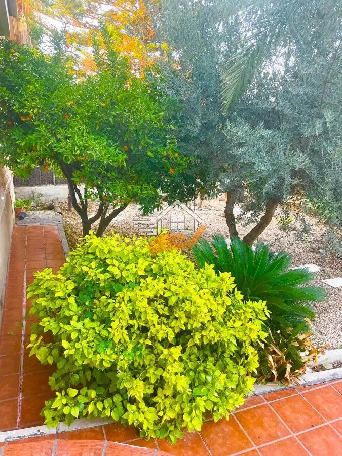 Garden of Houses for sale in Murcia  with Air Conditioner, Terrace and Balcony