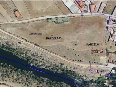Terreno rustico in vendita a Calle TOLEDILLO