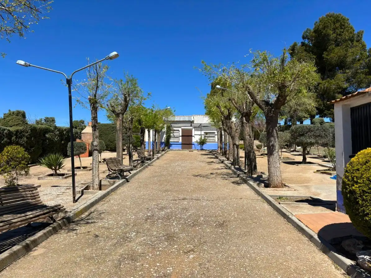 Vista exterior de Finca rústica en venta en Campo de Criptana con Jardín privado y Piscina