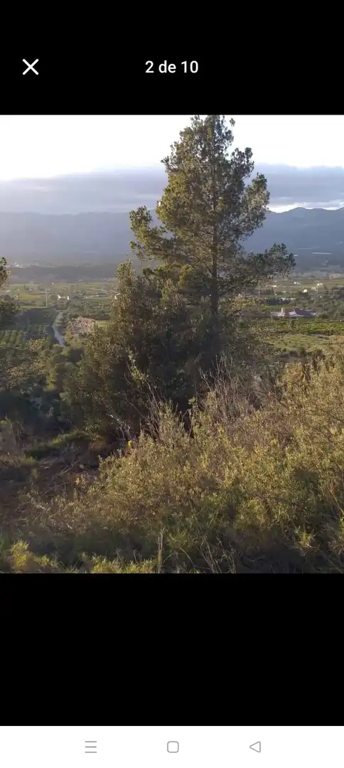 Terreny rústic en venda a de la masada, imagen 5