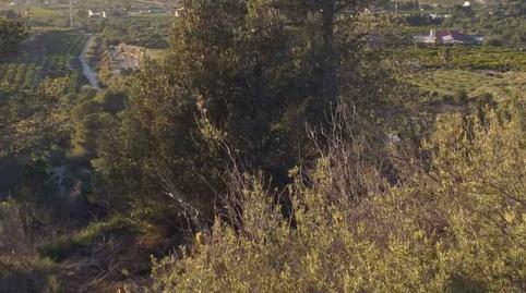 Photo 5 of Land for sale in De la Masada, Bítem, Tarragona