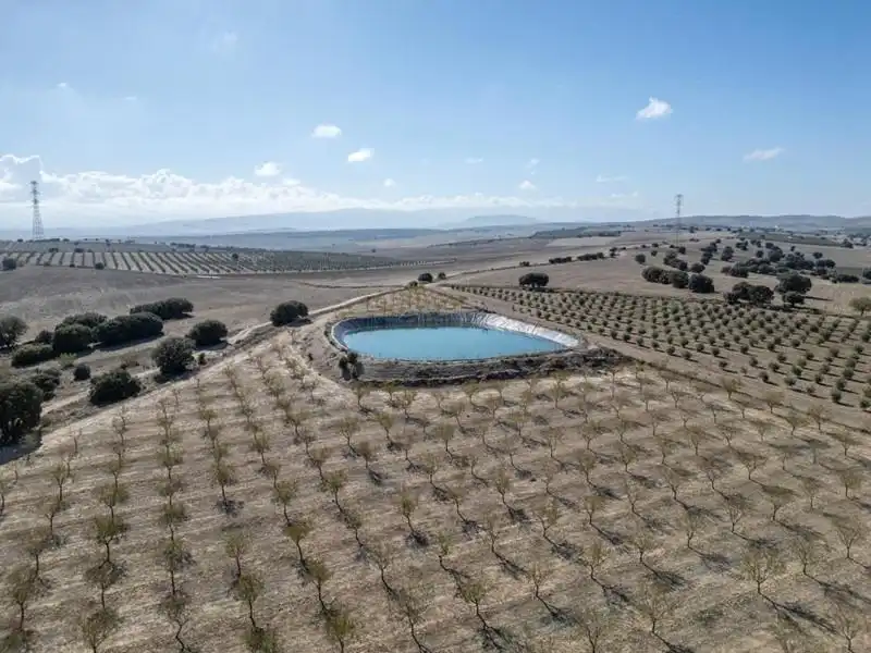 Land for sale in Alamedilla
